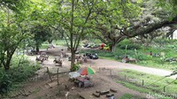 Ini pemandangan dari atas rumah pohon. (Bonauli/detikcom)