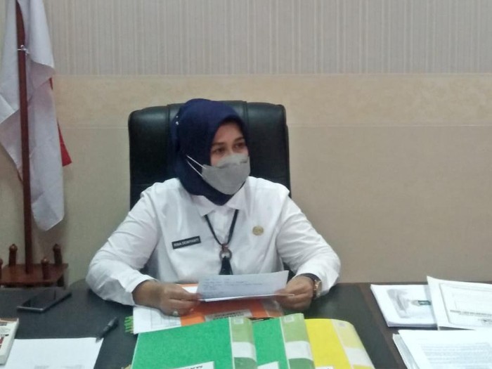 Kepala Badan Pengelolaan Keuangan dan Aset Daerah (BPKAD) Provinsi Banten Rina Dewiyanti