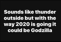 meme 2020