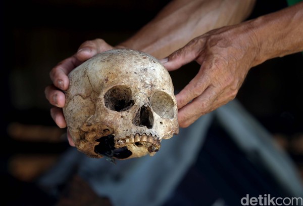 Inilah salah satu tengkorang salah satu raja di Suku Dayak Taman dengan bergigi emas.