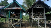 Tepatnya tahun 1922 Rumah Mayat (Kulambu) itu didirikan di sisi Sungai Menawik. Masyarakat pun bergotong-royong untuk memindahkan semua jenazah yang ada di Sungai Tanam, Uncak Mendalam.