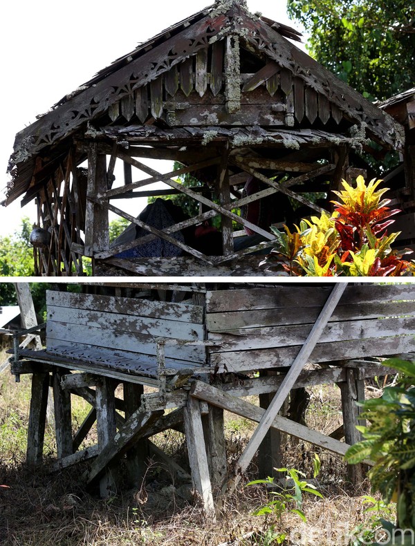 Beginilah kondisi terkini Rumah Mayat (Kulambu) yang sangat memprihatinkan. Ada atapnya yang sudah rapuh dan rusak, ada juga kayu tumpuan atau pondasi kaki yang mulai reyot. Beginilah kondisi terkini Rumah Mayat (Kulambu) yang sangat memprihatinkan. Ada atapnya yang sudah rapuh dan rusak, ada juga kayu tumpuan atau pondasi kaki yang mulai reyot.