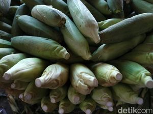 Pandemi COVID-19 Berdampak ke Pedagang Jagung