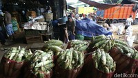 Meski harga jagung sudah dimurahkan, namun penjualan masih datar.