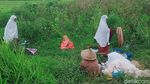 Potret Perempuan Buruh Tani Salat di Persawahan