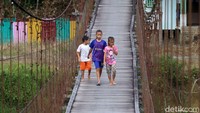 Ulin atau nama ilmiahnya Eusideroxylon zwageri merupakan jenis tanaman asli Indonesia. Tanaman pohon ini tumbuh endemik di pulau Kalimantan. Namun bisa juga dijumpai di Malaysia, Brunei Darussalam hingga Kepulauan Sulu, Filipina.