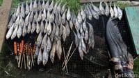 Dessy yang selama 4 tahun terakhir menggeluti berjualan ikan di Pasar Lanjak ini mengaku bersyukur lantaran dagangannya selalu laku dan untung besar.