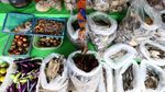 Foto: Bertahan Hidup dengan Jualan Ikan di Perbatasan