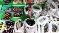 Kini usaha jualan ikannya itu semakin membesar, bisa dikatakan termasuk penjual yang lumayan besar di Pasar Lanjak. Kreditnya pun kini sudah berjalan hampir 3 tahun. Ia pun merasa terbantu dengan adanya KUR Mikro BRI. Terlebih disaat pandemi, meskipun pemasukannya sedikit menurun, tapi ia tetap bersyukur masih bisa melanjutkan hidup dan usahanya.