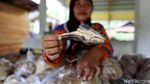 Foto: Bertahan Hidup dengan Jualan Ikan di Perbatasan