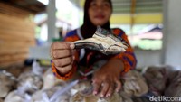Ikan yang dijualnya pun beragam, mulai dari ikan hidup, ikan asin hingga olahan Ikan Salai yang dijual paling mahal. Seperti ikan yang dipegang ini bisa mencapai harga Rp 180 ribu perkilogram.