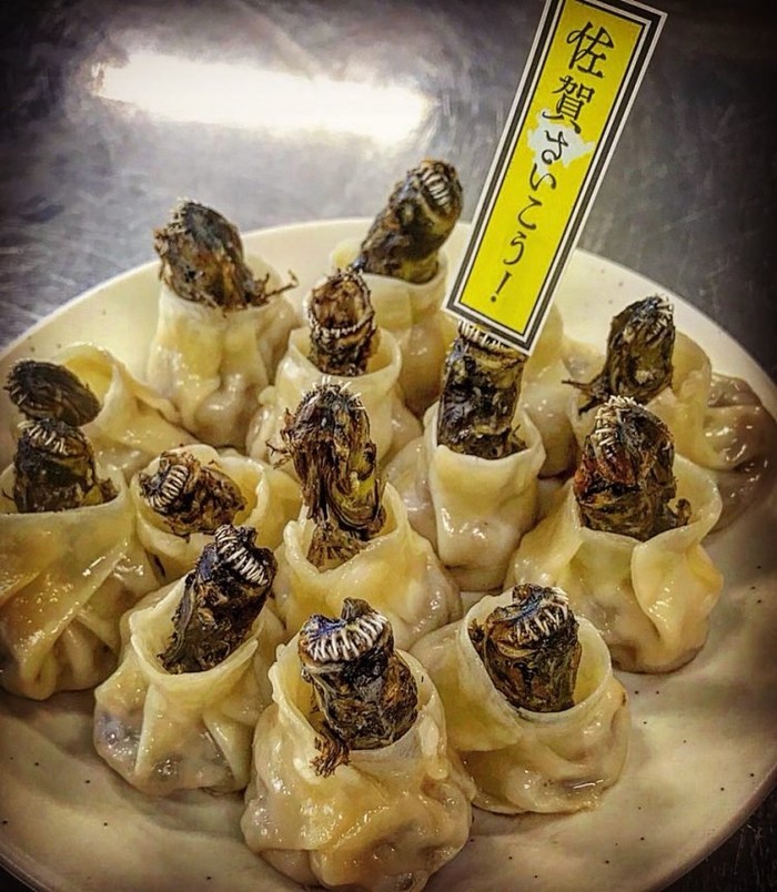 Dumpling Ikan Alien, Kuliner Eksotis yang Tampilannya Bikin Ngeri!