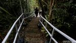 Ini Dia Pulau Sepandan Destinasi Andalan Kapuas Hulu