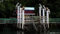 Bila ingin menuju ke Pulau Sepandan, dari kota Putussibau anda harus menuju ke kecamatan Batang Lupar dengan jarak tempuh sekitar 90 menit menggunakan akses darat.