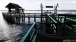 Ini Dia Pulau Sepandan Destinasi Andalan Kapuas Hulu
