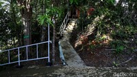 Sesampainya di pulau Sepandan, akan ada petugas taman nasional yang berjaga di loket depan dermaga. Untuk tiket masuk pengunjung dikenakan Rp 15 ribu-Rp 25 ribu. Kita bisa sepuasnya tracking ke puncak pulau tersebut.