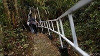 Aktivitas yang bisa kita lakukan di Pulau Sepandan itu yakni menaiki bukit di pulau tersebut dan ada sekitar lima spot pemberhentian yang menyugukan pemandangan danau Sentarum dari sisi yang berbeda-beda.