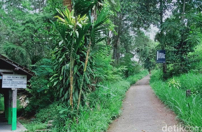 Jalur ke arah Sapu Angin di Deles, Desa Sidorejo, Kecamatan Kemalang sepi.