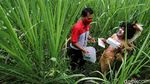 Akhir Tahun, Jasa Pengiriman Logistik Geber hingga ke Pelosok
