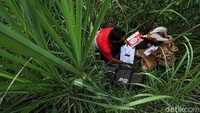 Bagaimana menurut Anda?
