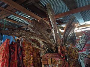 Pesona Topi Burung Ruai Khas Dayak, Harganya Bisa Sampai Rp 20 Juta