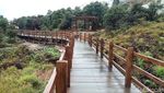 Foto: Spot Instagramable Baru Kawah Sikidang, Jembatan Kayu Sepanjang 1 Km