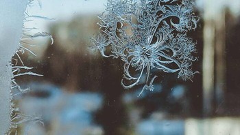 Dalam cuaca dingin, lebih baik berpakaian seperti kol sehingga ada beberapa lapis pakaian. Itu akan membantu agar tetap hangat. Namun terkadang [Anda tidak membutuhkan apa pun] —jika Anda pergi ke sauna Rusia, pilihan terbaik adalah tumpukan salju terdekat. katanya. Foto: Boredpanda