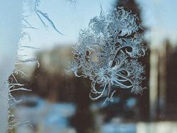 Bbrrr! Suhu Dingin Rusia Capai Minus 50 Derajat, Begini Potret Bekunya