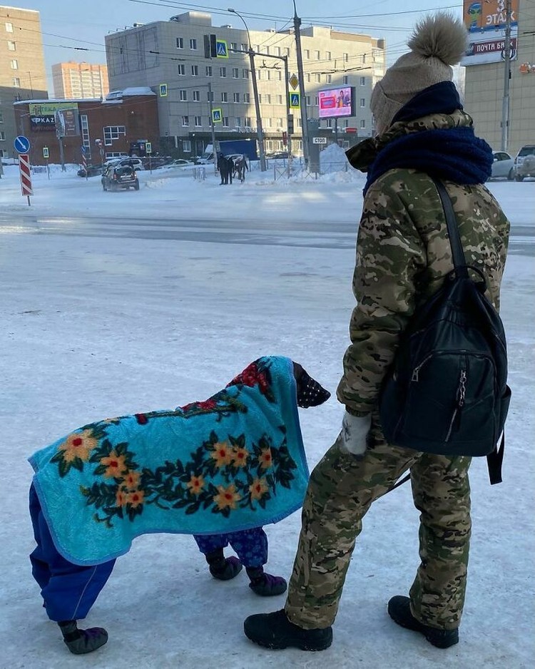 fotoinet rusia suhu dingin