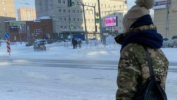 Dengan suhu yang sangat rendah di Rusia membuat mie rebus dan telur mentah beku menunjukkan betapa dingginanya bagian negara tersebut saat musim dingin. Foto: Boredpanda