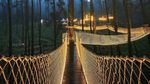 Gemerlap Jembatan Gantung Hiasi Hutan Anggrek Cikole