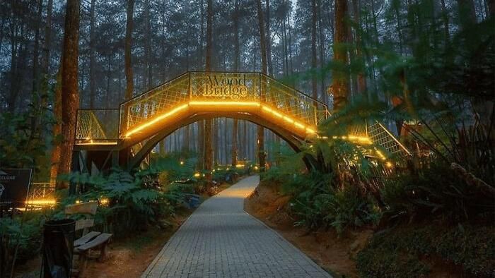 Gemerlap Jembatan Gantung Hiasi Hutan Anggrek Cikole - Foto 5
