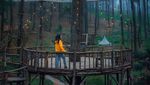 Gemerlap Jembatan Gantung Hiasi Hutan Anggrek Cikole