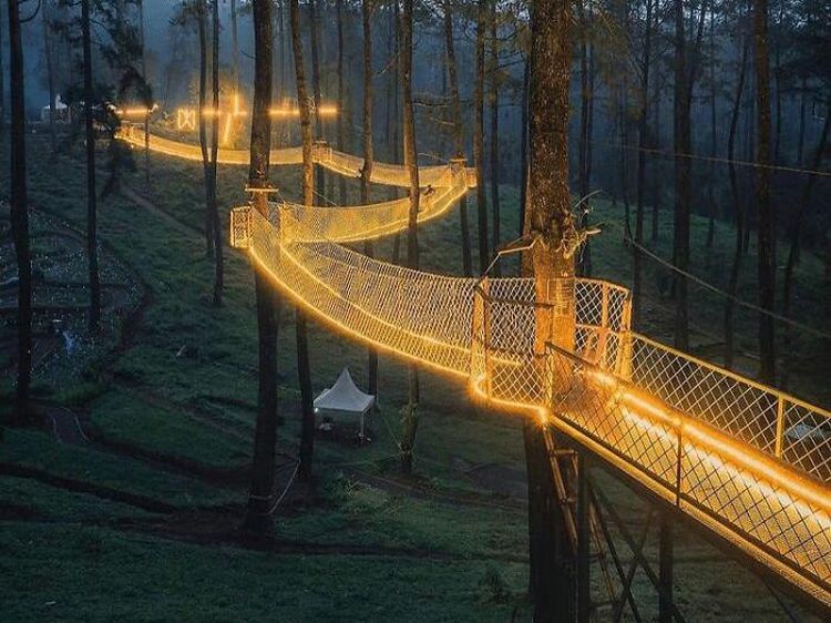 Gemerlap Jembatan Gantung Hiasi Hutan Anggrek Cikole