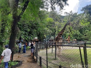 Pengunjung KBS di Hari Pertama 2021 Capai 4.000 Orang