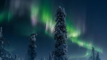 Aurora di hutan dingin Ruka, Finlandia, pada suhu -36 Cº ini hanya muncul selama lima menit lho. Istimewa/dok.Bored Panda/kimjenssenphotography.