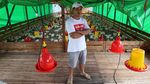 Potret Sukses Peternak Ayam yang Kini Jadi Jutawan