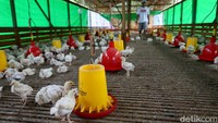 Meskipun lahir dari keluarga berkecukupan, Ia dididik sejak dulu untuk menjadi pria yang mandiri dan bekerja keras. Ia pun terlatih untuk melihat berbagai peluang usaha demi raup keuntungan yang besar.