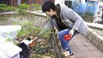 Unik! Ada Kantin untuk Kucing Liar di Taiwan
