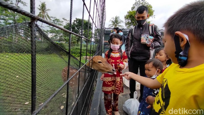 Wisata Edukasi Mini Zoo