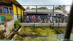 Foto: Serunya Libur Tahun Baru di Mini Zoo Kuningan