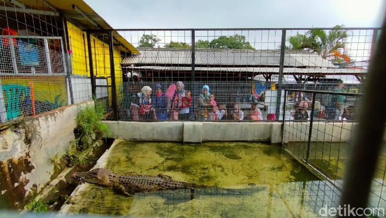 Wisata Edukasi Mini Zoo Wisata Edukasi Mini Zoo