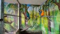 Selain itu, jenis satwa lain seperti burung, kera, kijang, kuda serta beragam jenis ikan. (Bima Bagaskara/detikcom)