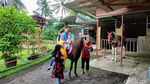 Foto: Serunya Libur Tahun Baru di Mini Zoo Kuningan