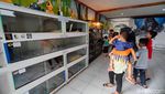Foto: Serunya Libur Tahun Baru di Mini Zoo Kuningan