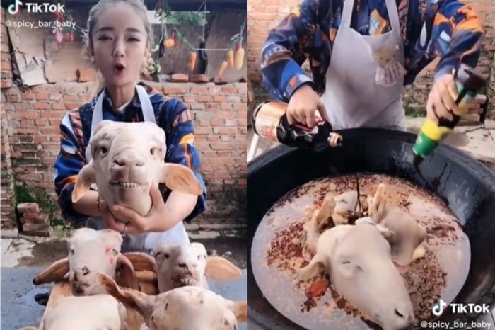 aksi wanita masak 5 kepala kambing Masak Kepala Kambing, Wanita Ini Malah Dihujat