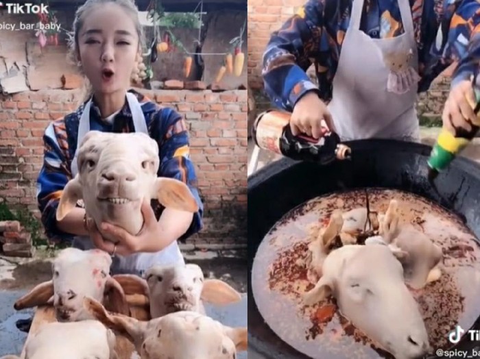aksi wanita masak 5 kepala kambing Masak Kepala Kambing, Wanita Ini Malah Dihujat