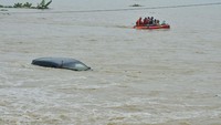 Personel Basarnas mengevakuasi warga yang terdampak banjir akibat jebolnya tanggul Sungai Gelis di Dukuh Goleng, Pasuruan Lor, Jati, Kudus, Jawa Tengah, Sabtu (2/1/2021).