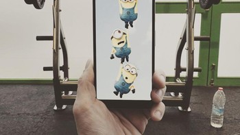 Minion sedang olahraga. Foto: Francois Dourlen
