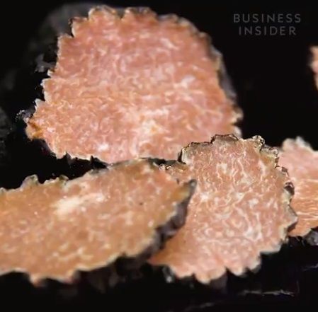 Alasan mengapa harga white truffle bisa mahal